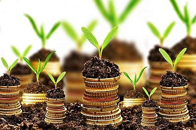 Mutual Fund – An optimum investment vehicle
