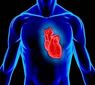 Vitamin D3 may improve heart functioning