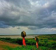 Monsoon forecast: Rainfall above average this year