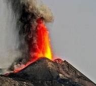 Dinosaur die-off not a result of volcanoes in India: study