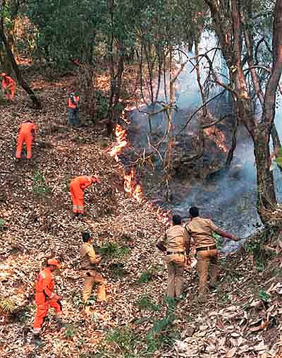 ​​Indore: Fire damages 1 hectare forest in Devguradia