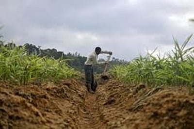 ‘Himalayan nations face likely food crisis, need to join hands’