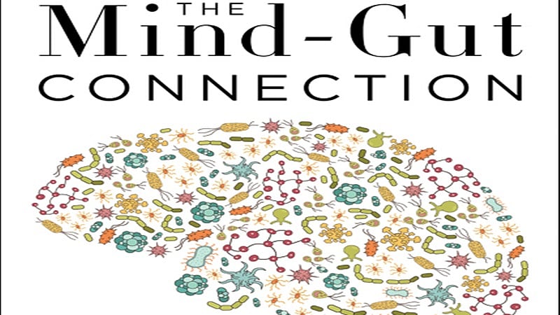 The Mind-Gut Conversation