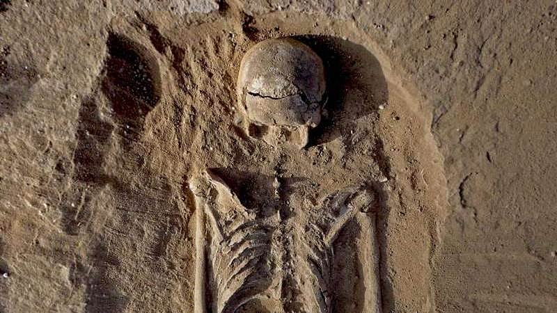 Oldest evidence of life on land found