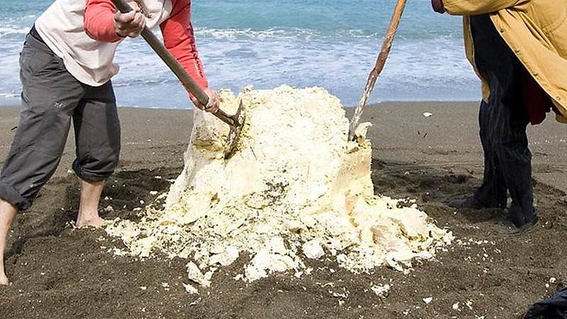 Omani fishermen find ‘whale vomit’ worth $ 2.5 mn
