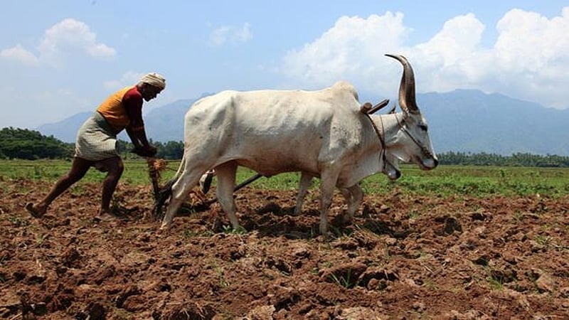 Reforms still ignore farmers’ plight in country
