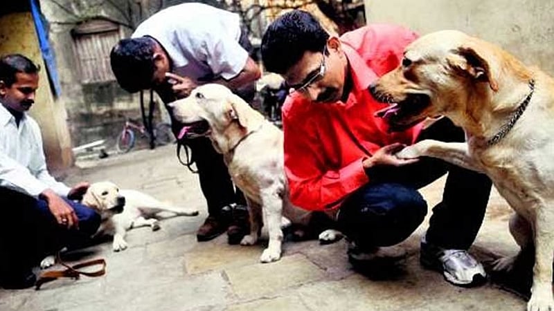 Zanjeer: Sniffer dog who saved countless lives during 1993 Mumbai serial blasts