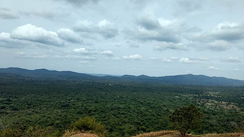 Lose yourself to Sri Lankan islands