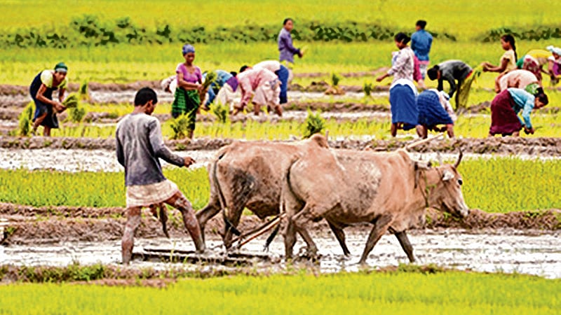 Maharashtra: 10 p surcharge to foot State billfor solar pumps