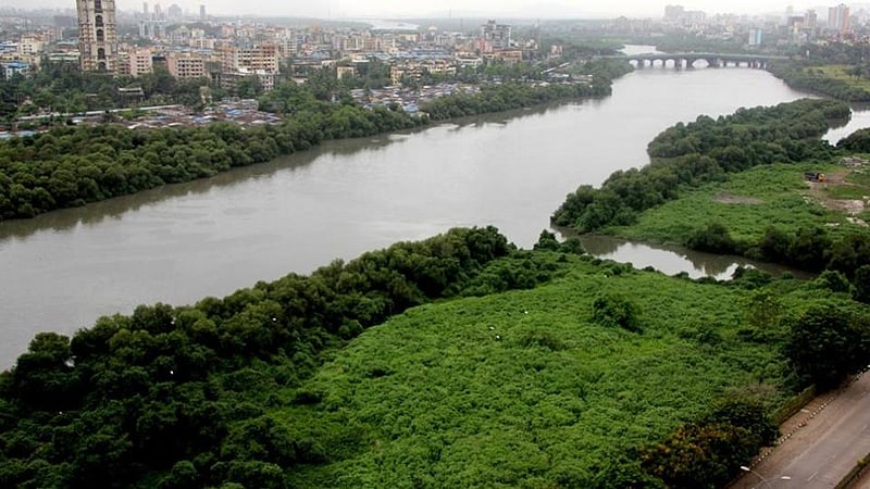 Mumbai: Metro authorities destroy mangroves at Juhu for construction of yard for Metro-2B line