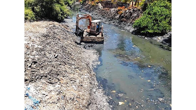 MBMC opts for Google Mapping of mangroves before creek desilting