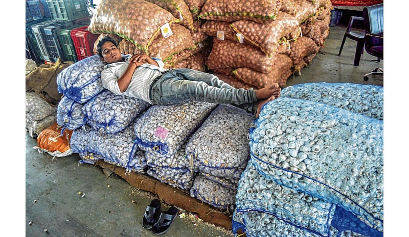 Dhar: Farmers burn garlic and onion crop protesting against low prices