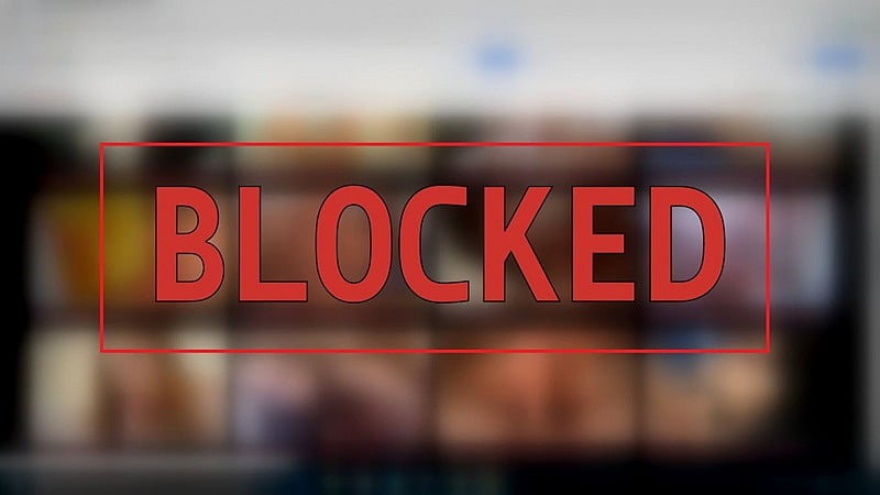 Maharashtra Cyber department blocks 29 websites for pirated content