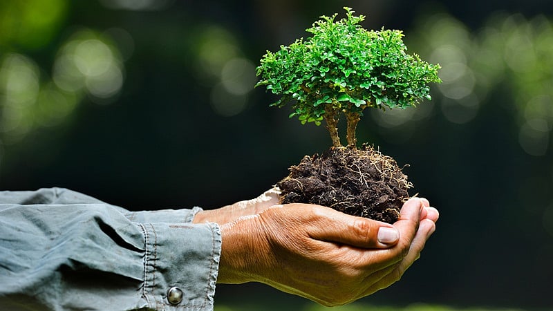 World Environment Day 2018: 10 things you didn’t know you were doing that harms the environment