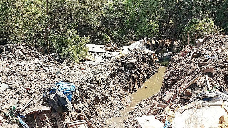 Mumbai: Authorities turn blind eye as mass debris dumping goes on in mangrove areas