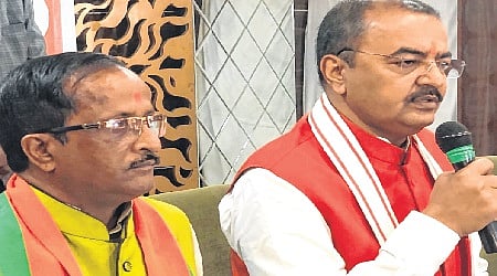 article-image