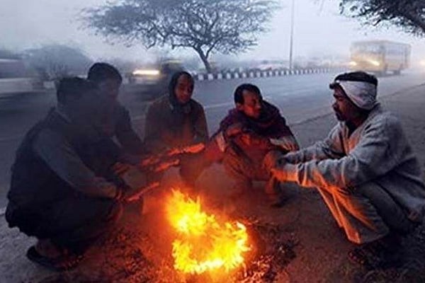 article-image