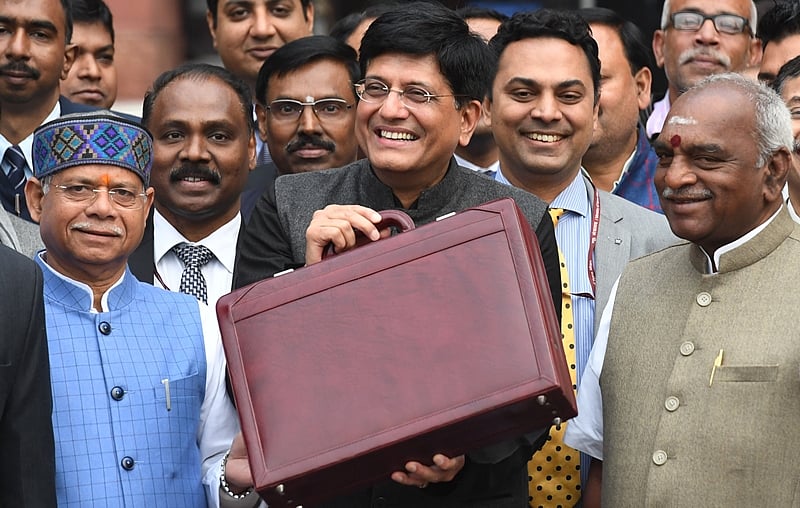 Budget 2019: Wonky, wild and worrying