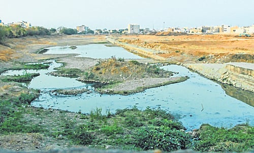 article-image