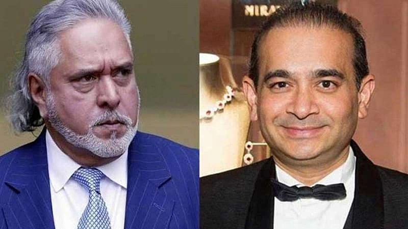 Why not drop cases against eco fugitives?: Supreme Court