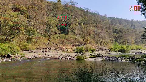 LIFE GIVER: It is the Mhadei which sustains the biodiversity of the State’s better-known wildlife sanctuaries.