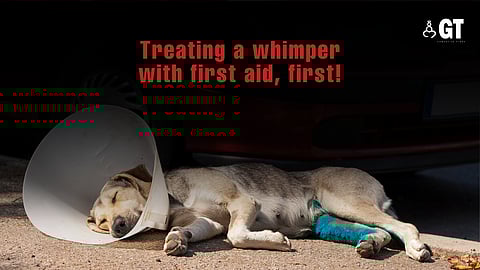 Being able to provide first aid makes all the difference.  