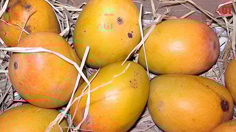 Mangoes