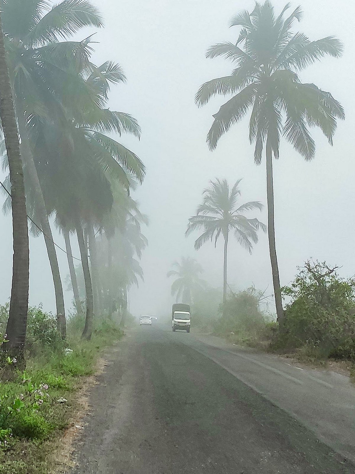 Visit these places in Goa for a fresh start to your December morning | Gomantak Times