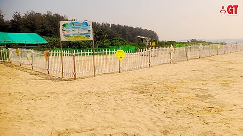 The Forest Department clearly mentions that Morjim Beach is a turtle nesting site.