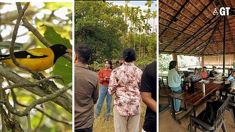 Take a bird walking experience to Carambolim Lake.