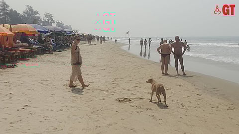 Tourists from across the world come to Arambol. 