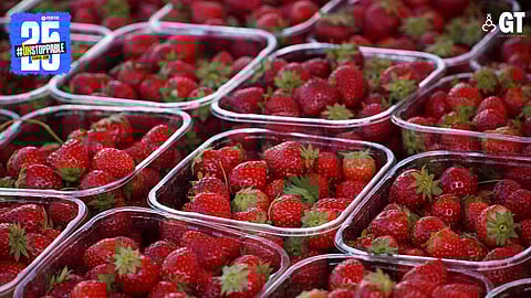 Reviving rural economies through agritourism. 