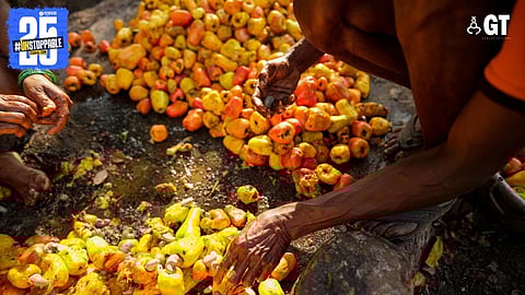 Your perfect Goa vacation awaits you.