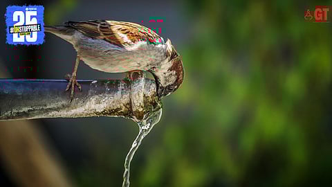 Goa could be looking at a water crisis in future.  