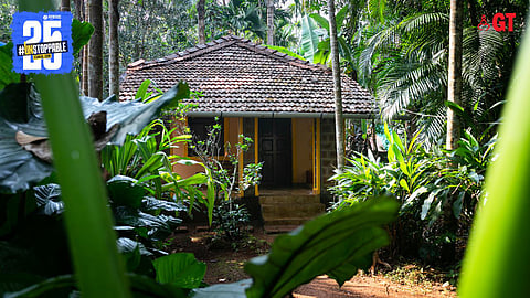 Dudhsagar Plantation is situated in the Western Ghats.