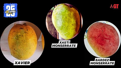 Xavier and Monserrate are some of the mango varieties available in Goa at this time of the year.