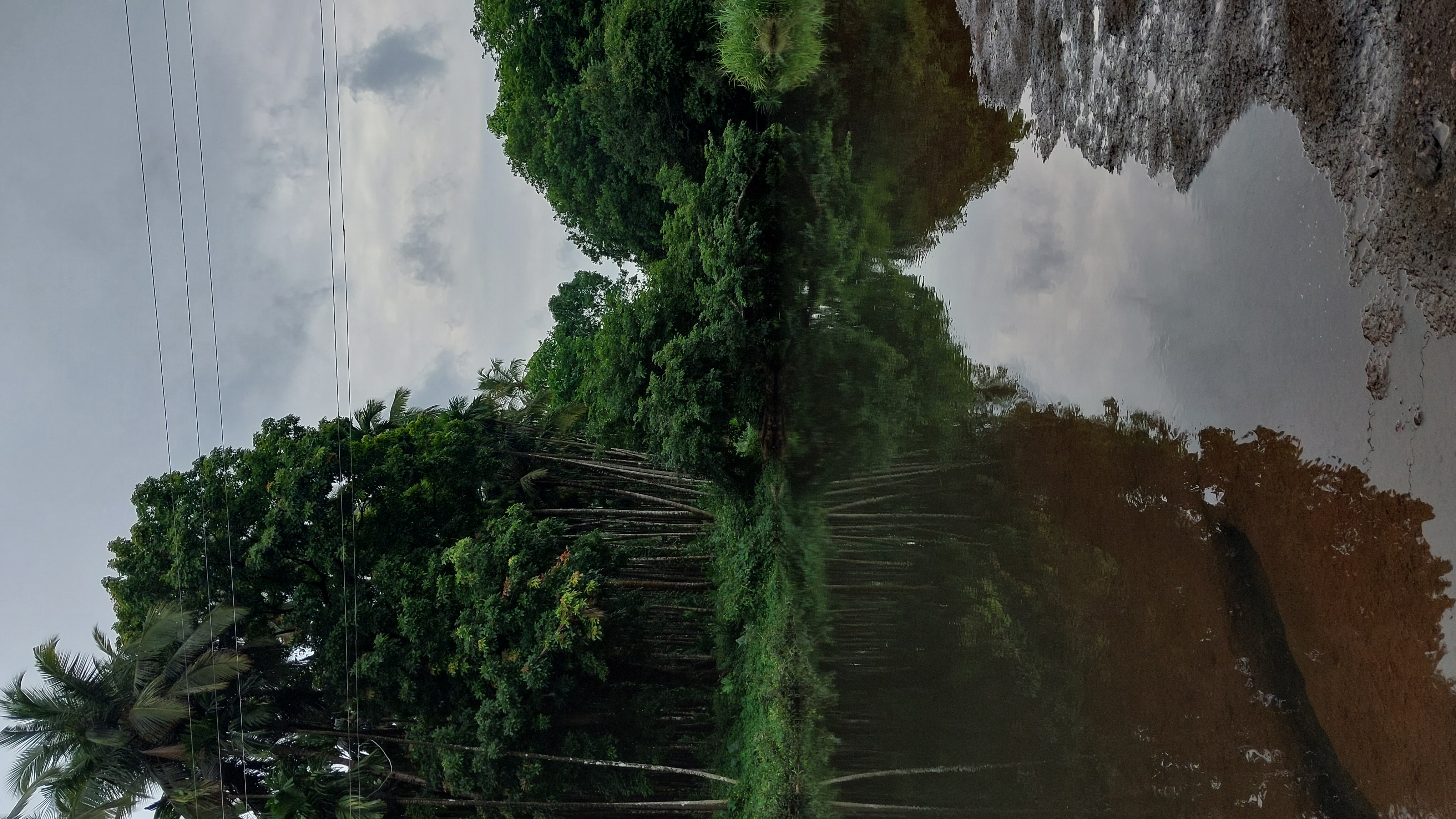 Khushawati river replenishes the farms on its banks.  