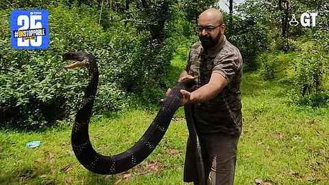 Experts such as Charan Desai know how to handle snakes.
