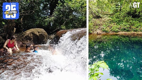 The well and waterfall at Dudhsagar Plantation. 