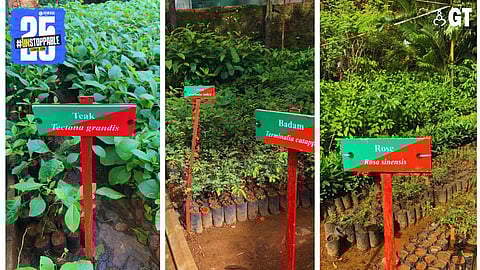 The nursery of the South Goa Forest Division in Margao.