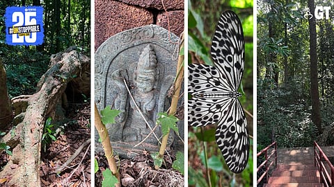 A big part of Goa's biodiversity is under threat. 