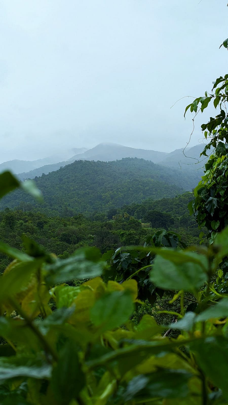 Five spots in South Goa that look different in the monsoon