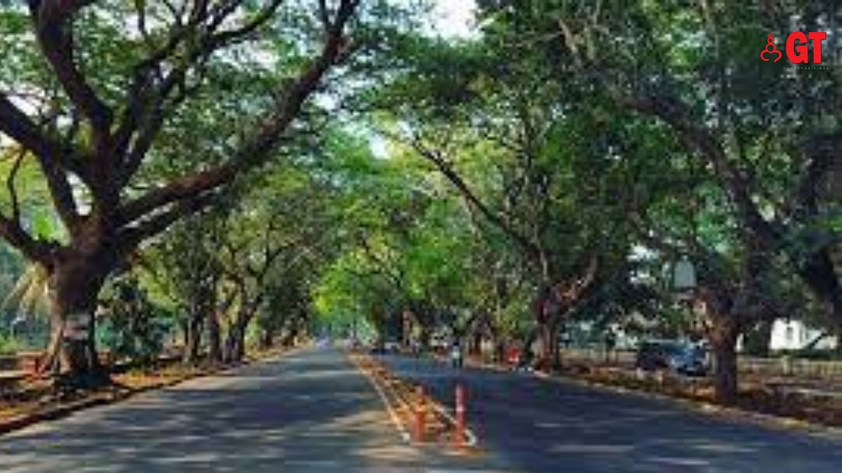 Attend a talk on trees in Goa’s urban-rural spaces