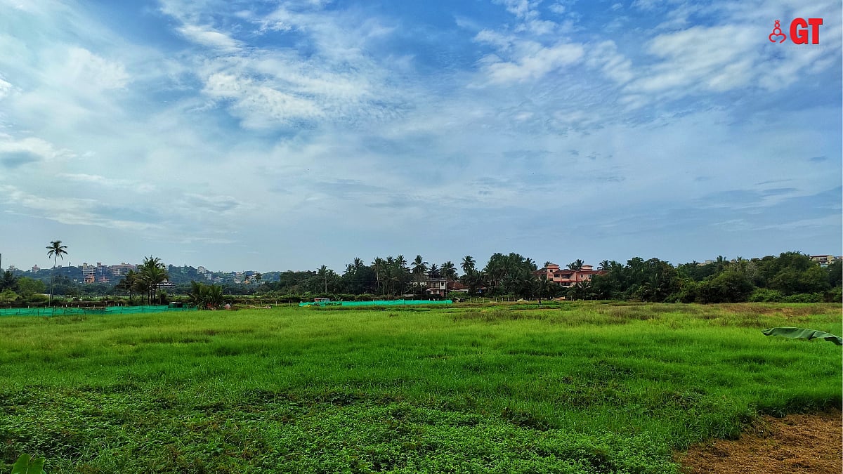 GHRC seeks report on sewage discharge in Taleigao fields|Gomantak Times