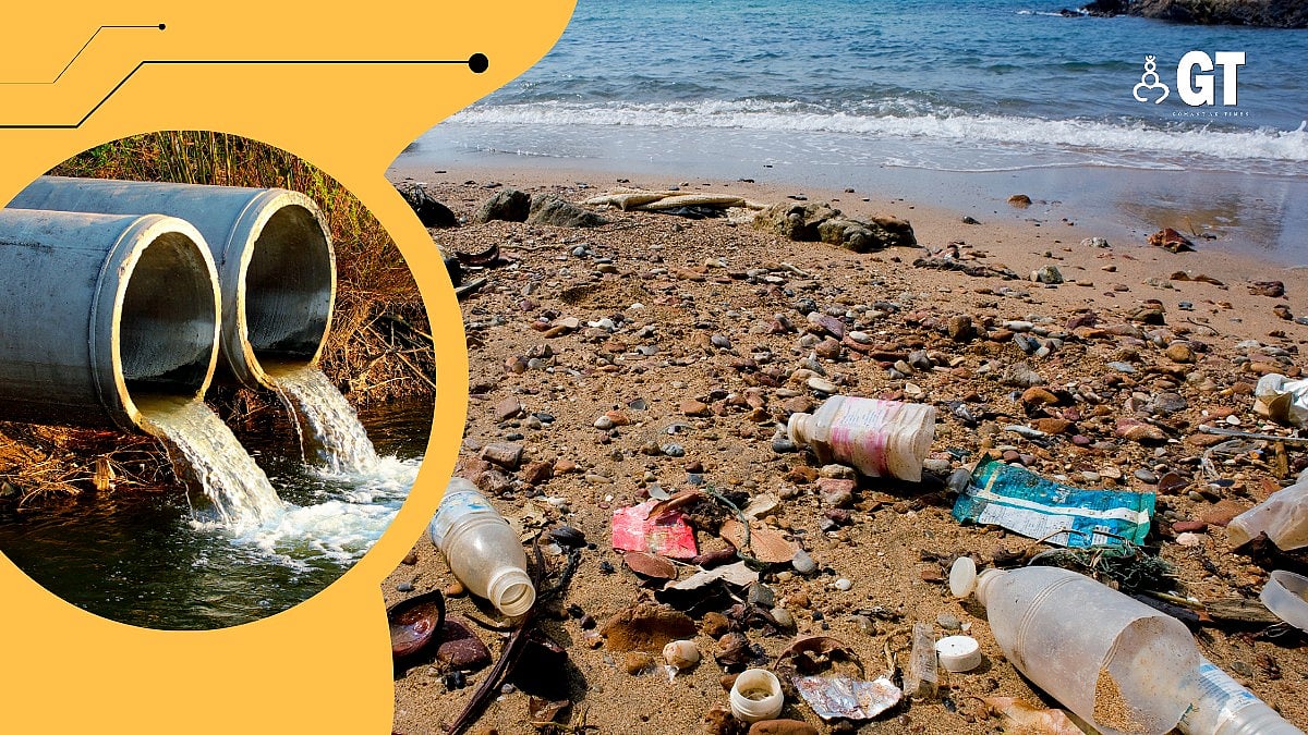 FRANKLY FRANK: Goa should focus on clean beaches | Gomantak Times