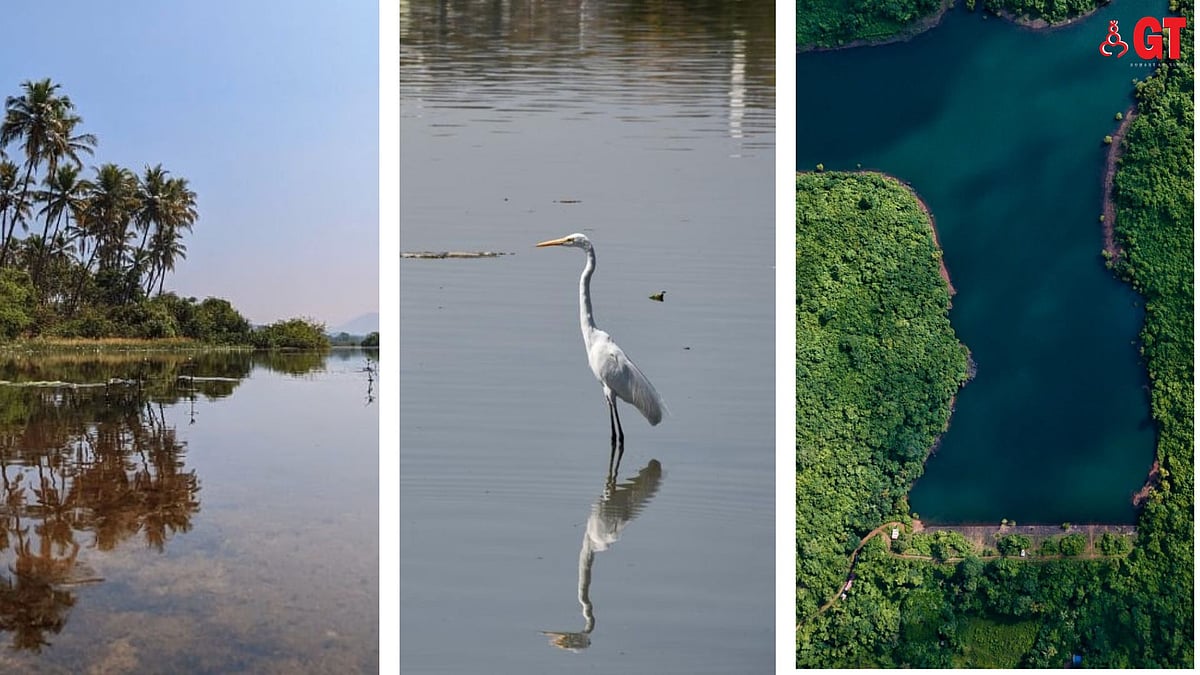 Goa's Wetland Conservation: Progress and Challenges - Goa News | Goa ...