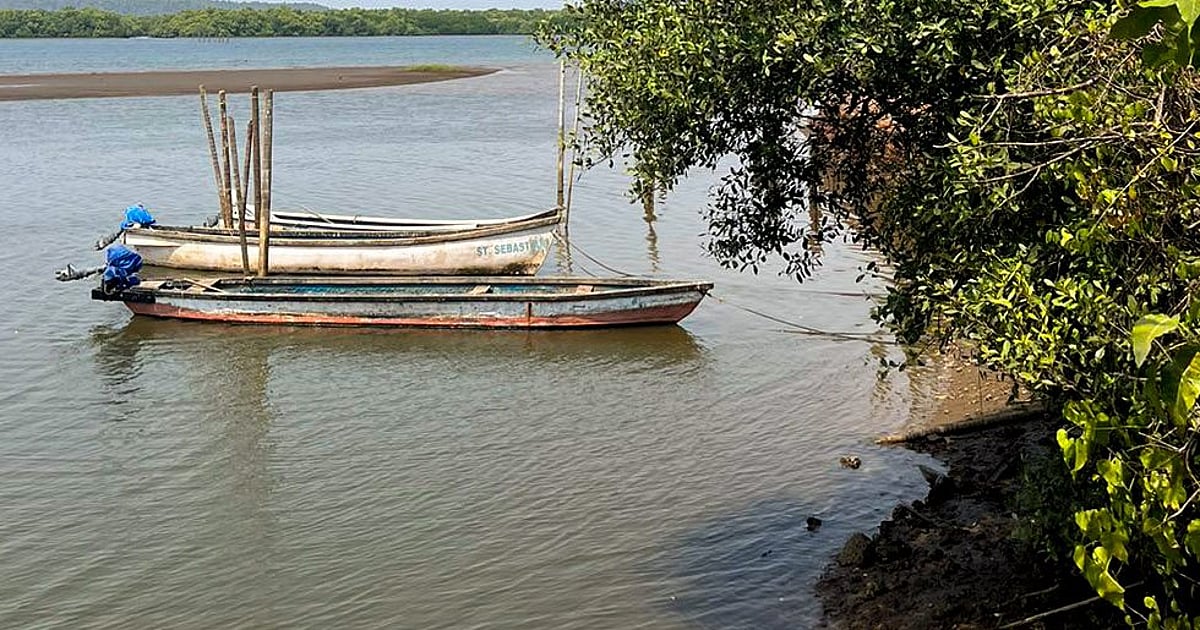 Goa's Ribandar is calling, but make sure to bring your camera - Goa ...