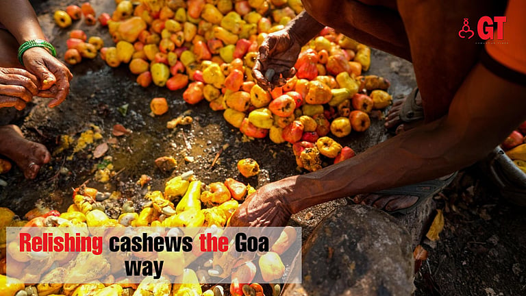 Relishing cashews the Goa way | Gomantak Times