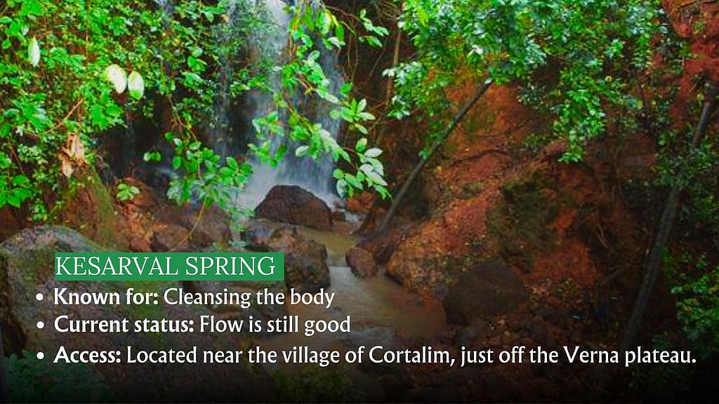 Rejuvenate yourself at Goa’s many springs |Gomantak Times