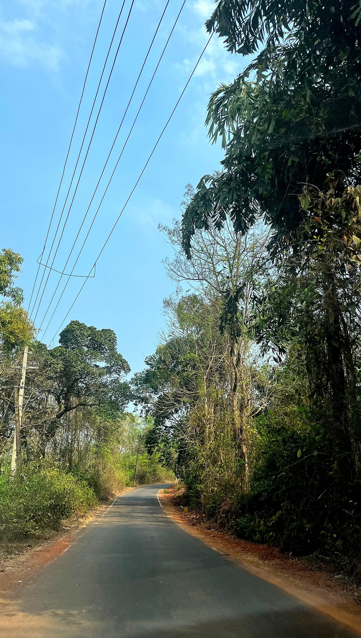True Goa is hidden along her winding paths | Gomantak Times